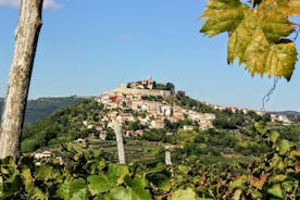 Istria 1 päivän kiertueella (Pulasta tai Medulinista)