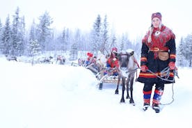 Aurora Hunting with Reindeer Caravan