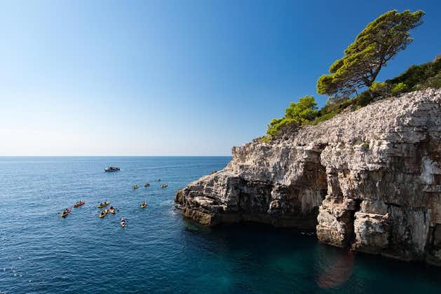 Äventyr Dubrovnik - Sea Kayaking och Snorkling Tour