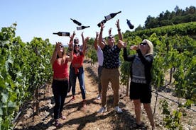 와인 시음, 점심 및 선택적인 크루즈가 포함된 Douro Valley 소그룹 투어