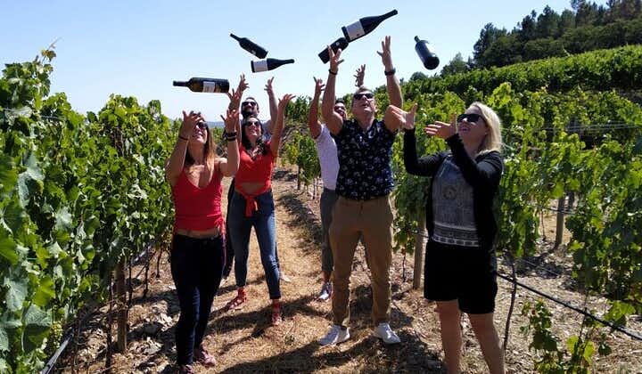 Douro Valley Small-Group Tour with Wine Tasting, Lunch and Optional Cruise