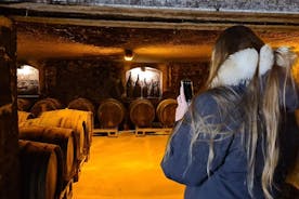 3 dagen in Champagne - Kelders, proeverijen, wijnmakersbijeenkomsten en erfgoed