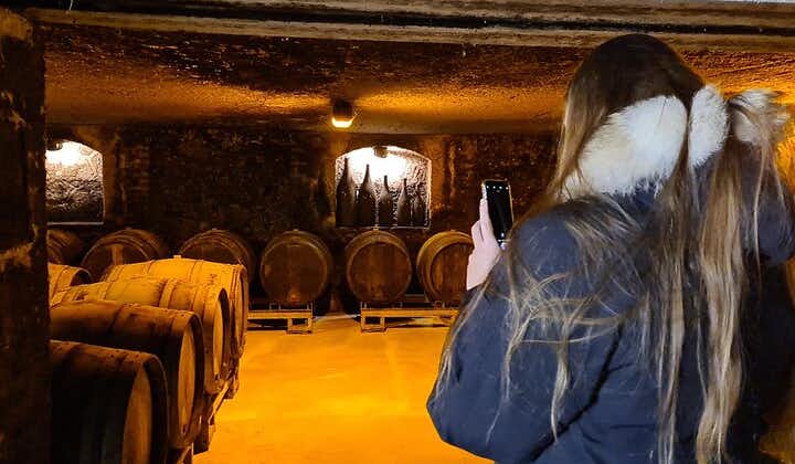 3 days in Champagne - Cellars, tastings, winemakers meetings and heritage