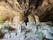 Cave of Agia Sofia, District of Kissamos, Chania Regional Unit, Region of Crete, Greece