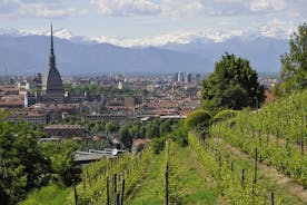 2-hour Turin guided small group walking tour