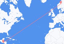 出发地 薩爾瓦多聖薩爾瓦多目的地 挪威Roros的航班
