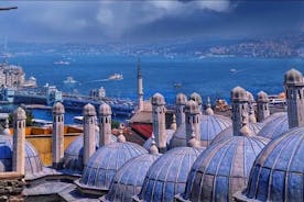 Excursions à terre privées combinées à Éphèse et Istanbul