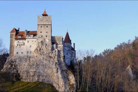 Bran (Dracula) slott, Peles slott, Brasov City - privat rundtur