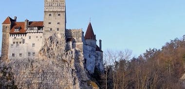 Kasteel Bran (Dracula), kasteel Peles, stad Brasov - privétour