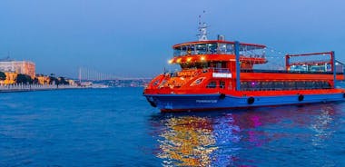 TURNATOUR: Dinercruise op de Bosporus met Turkse nachtshow
