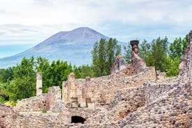 Half-Day Tour in Pompeii from Rome