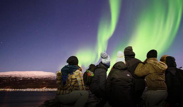 Cacería de auroras boreales con fotógrafos profesionales.