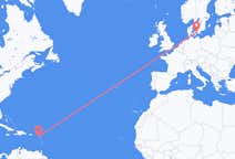 从圣基茨和尼维斯出发出发地 尼维斯目的地 丹麦哥本哈根的航班