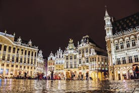 Brussels Christmas Tour with a Local Guide, Private & Custom 