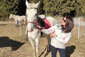 来自索非亚的 Teteven Balkan 私人骑马