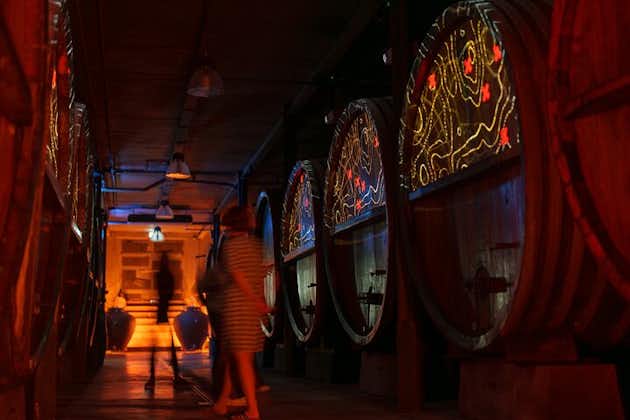 Wine tasting and immersive cellar tour