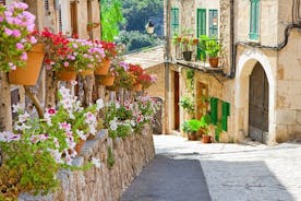 Guided Route 4 Hours in Palma with Cathedral and Visit to Valldemossa