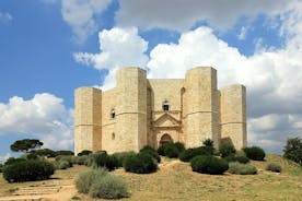 바리 (Bari) 또는 오스 투니 (Ostuni)에서 트 라니 (Trani), 와인 시음회 및 카스텔 델 몬테 (Castel Del Monte) 투어