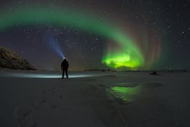 Excursión para ver la aurora boreal en un grupo pequeño desde Tromsø