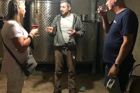 Naturweintour in die Region Kartli, Mittagessen und Weinprobe im Andro Barnovi