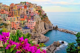 Cinque Terre met Vernazza Manarola en Corniglia vanuit de cruisehaven van Livorno