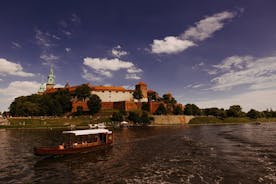 Crucero en góndola Tour privado por el río Vístula Cracovia hasta 12 personas