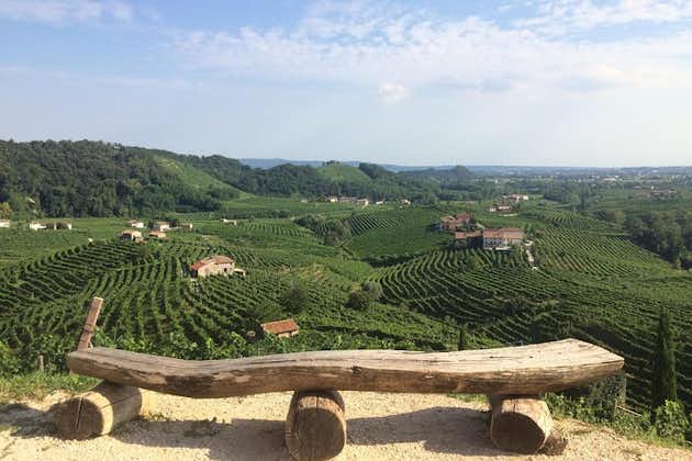 Prosecco - Tour de vinos y degustación - Día completo en la región de Prosecco