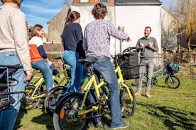 Visite à vélo dans la ville historique de Gand