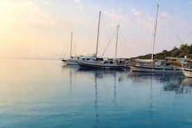 Privat bådoplevelse i Bodrum-kysten med snorkling og bugter