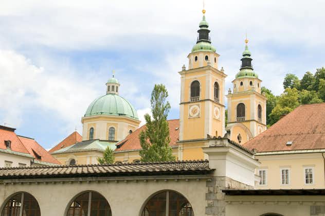 Photo of Ljubljana Cathedral St. Nicholas Church Slovenia Europe in old town.