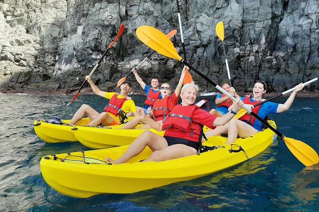 Tour privato in kayak con avvistamento di delfini e tartarughe
