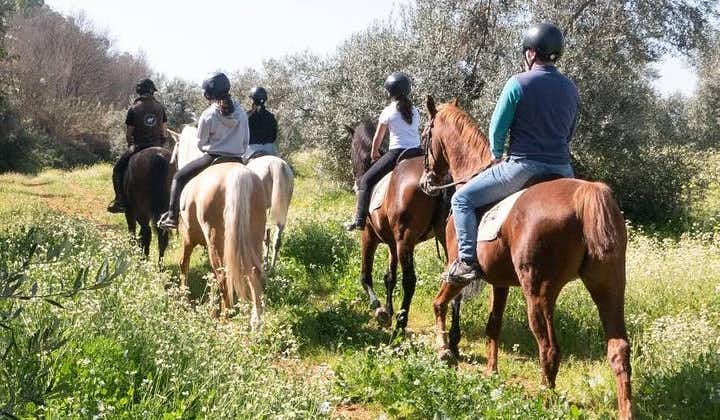 Horseback riding around Doñana