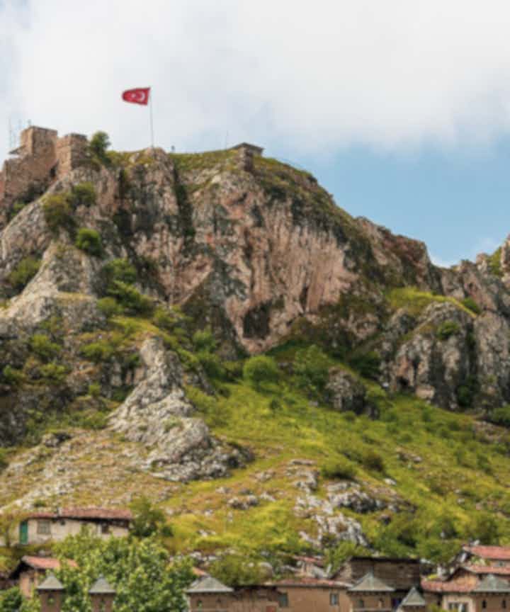 Varevogne, man kan leje i Tokat, Tyrkiet