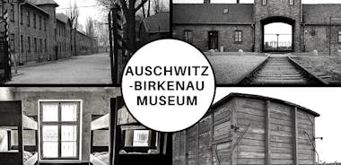 Auschwitz-Birkenau: Inngangsbillett med omvisning