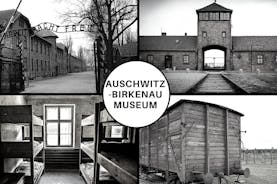 Auschwitz-Birkenau: Entrébiljett med guidad tur