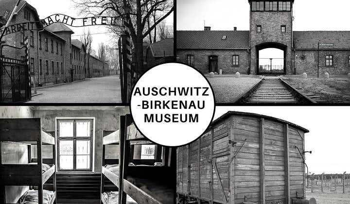 Auschwitz-Birkenau: Entrébiljett med guidad tur