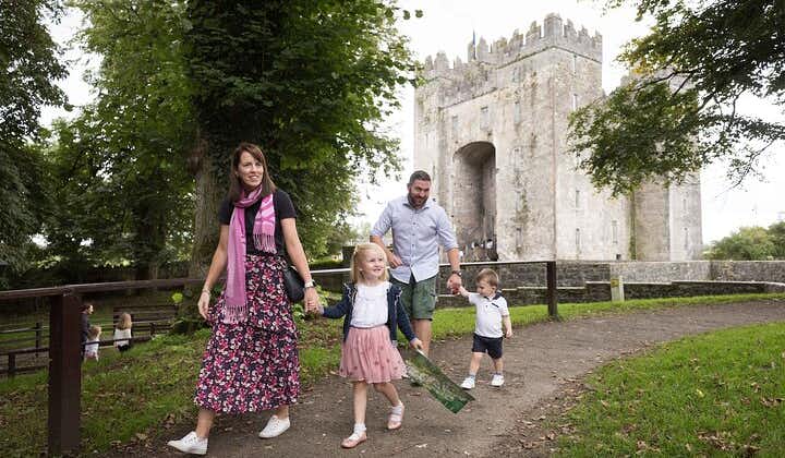 Le château de Bunratty et billet d’entrée pour Folk Park