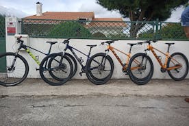 Lei en sykkel hel dag fra Coimbra