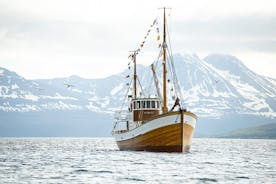 Fjord & History Cruise