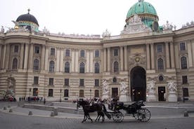 Full day private guided tour to Vienna from Budapest with Lunch 
