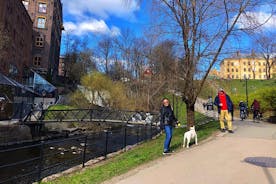 Excursão de cultura alternativa e comida de rua em Oslo
