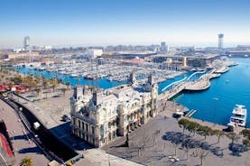 Barcelona privat transport: Barcelona sentrum til cruisehavn