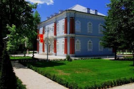 Privat Cetinje gå- og museetur
