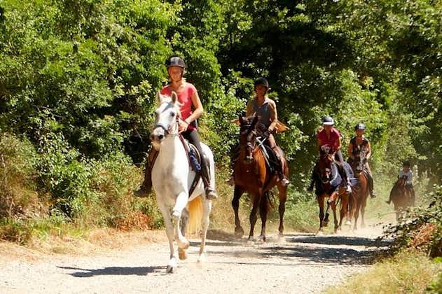 Gita di Mezza Giornata a Cavallo in Toscana