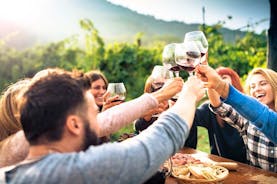 Wine & Food Tasting on Etna's Winery Private Tour