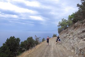 Akamas Panorama (kort) Promenad (privat från Paphos)