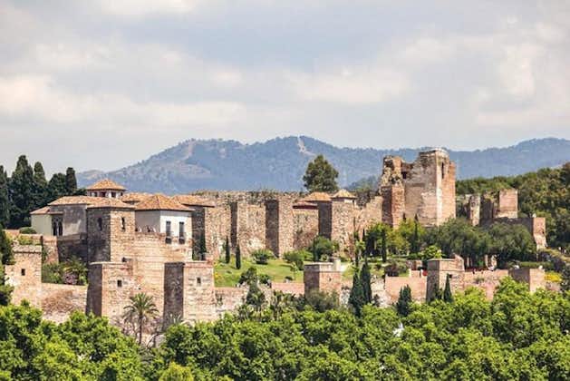 Tour privado de Málaga con Alcazaba, Museo Picasso y Catedral