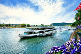 Linz Old Town Private Walking Tour and Cruise