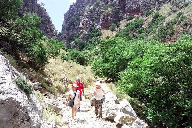 Aventure de randonnée dans les gorges de Polyrrinia et Sirikari. Visite privée