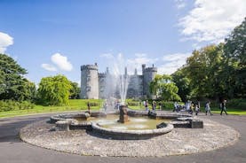 Tagesausflug von Dublin nach Glendalough, Wicklow und Kilkenny mit Hütehund-Wettbewerben 